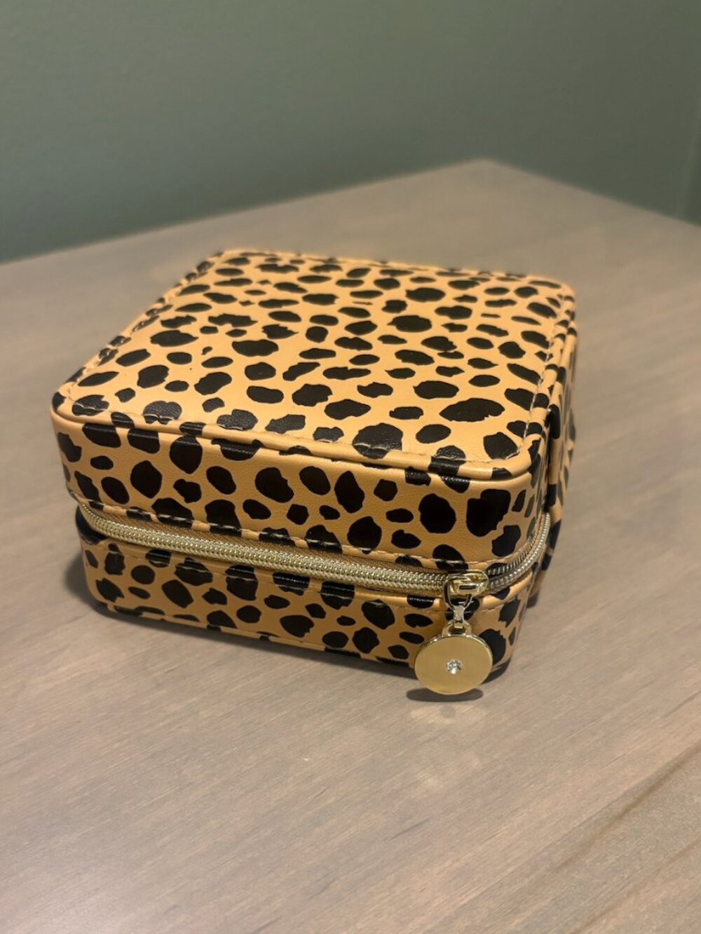 Nordstrom Leopard Print Travel Jewelry Case